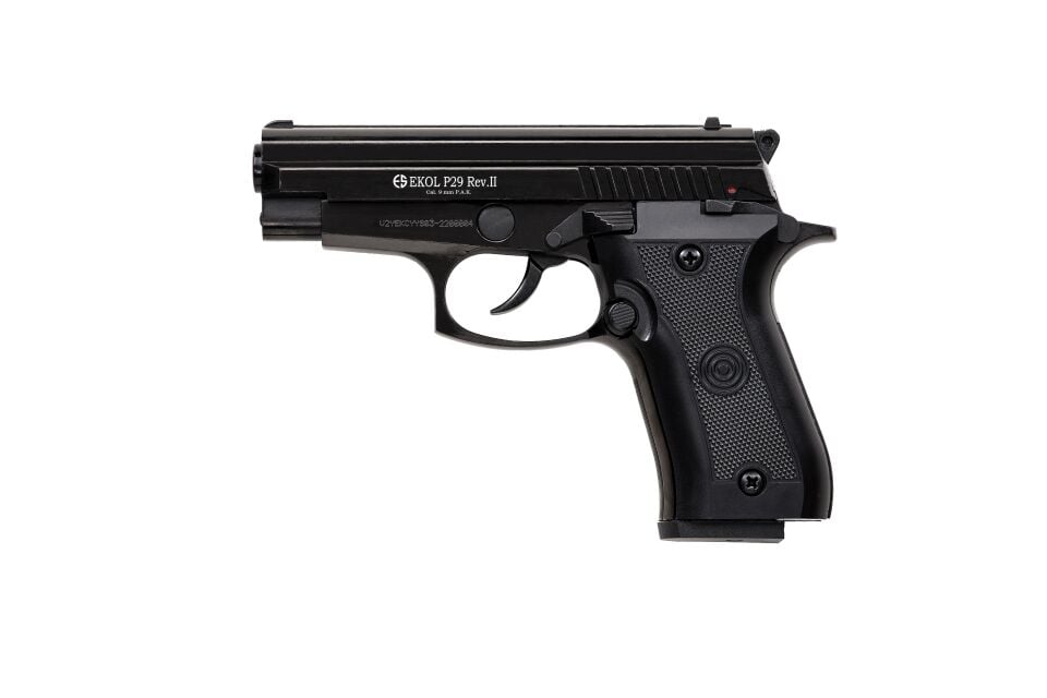 P29 REV-II