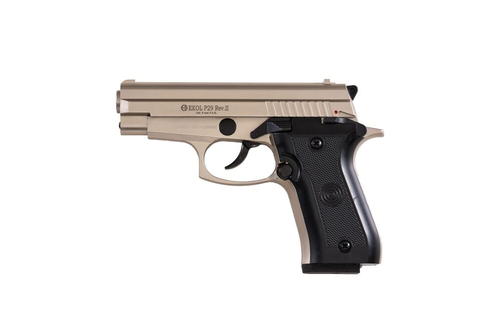 P29 REV-II