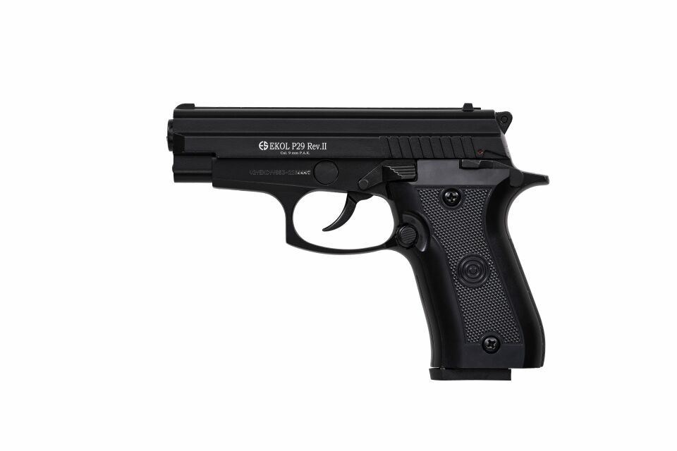 P29 REV-II